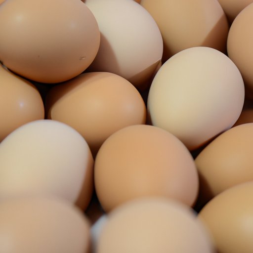 Why Are Eggs So Expensive in Florida: A Deep Dive into the Economics of Egg Production