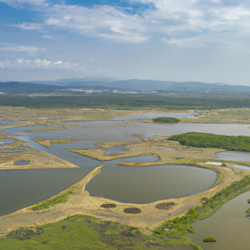 Why Estuaries are Important: Protecting Biodiversity and Supporting Economic Activities