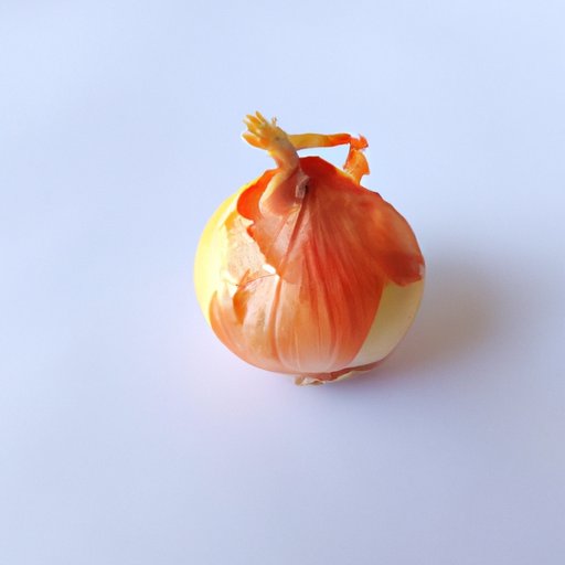 Why Are Onions Bad for Dogs? Understanding the Toxicity and Health Risks of Onion Consumption