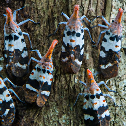 Why Are Spotted Lanternflies Bad: The Environmental and Economic Threat They Pose