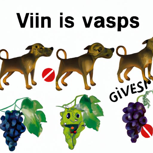 Why Can’t Dogs Eat Grapes? Understanding the Dangers and How to Keep Your Dog Safe