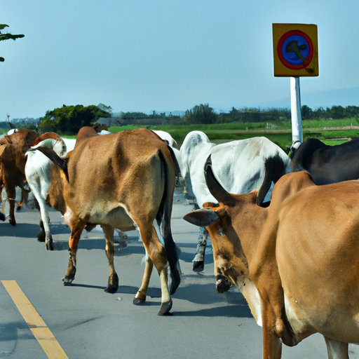 Why Did the Cow Cross the Road? Understanding Their Behaviors, Impact and Strategies for Prevention