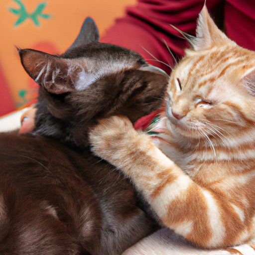 Why Do Cats Knead Their Paws: The Fascinating Science and Emotional Connection Behind It