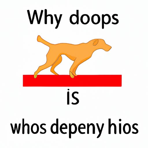 Why Do Dogs Hump Certain People? Understanding the Psychology and Science Behind This Common Behavior