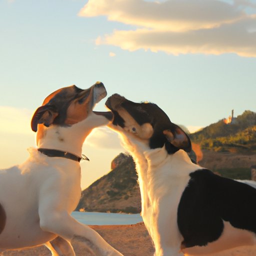 Why Do Dogs Lick Us? Unpacking the Science, Emotions, and Benefits Behind This Common Behavior