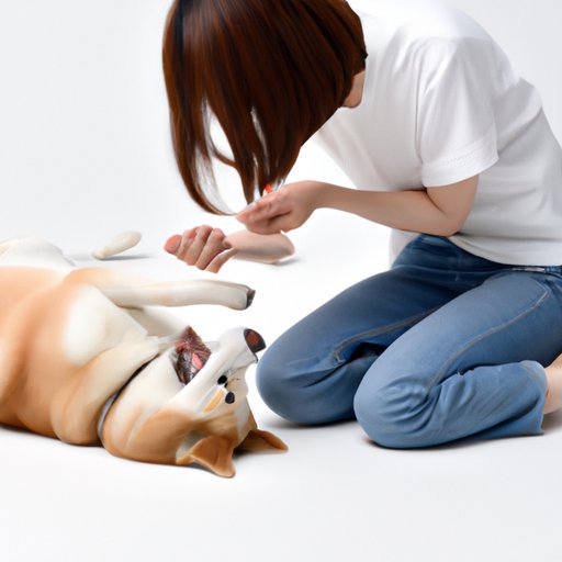 The Science Behind Dogs’ Love for Belly Rubs