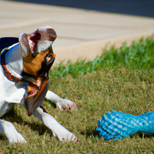 Why Do Dogs Shake Their Toys? Understanding Your Furry Friend’s Playful Behavior