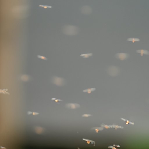 Why Do Gnats Swarm? Exploring the Science and Eco-Significance of Gnats Swarming