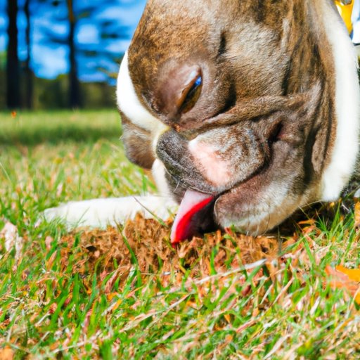 Why Do I Drool So Much? Understanding Excessive Salivation and How to Prevent It