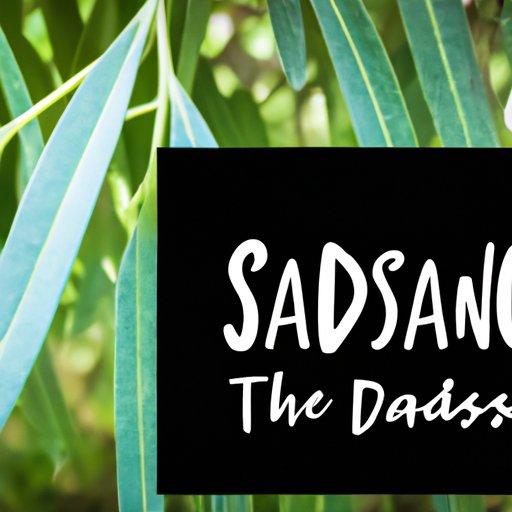 Why Do I Feel Sad: Understanding, Managing, and Reframing Sadness