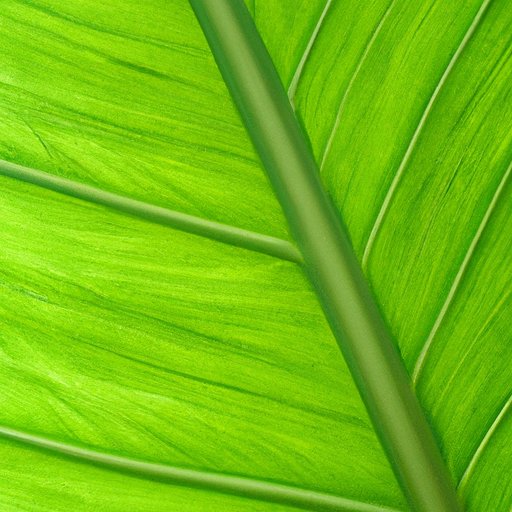 Why Most Leaves Appear Green: The Science Behind Leaf Coloration