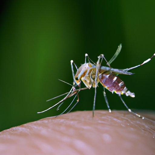 Mosquitoes Not Biting You? Here’s Why and What You Need to Know