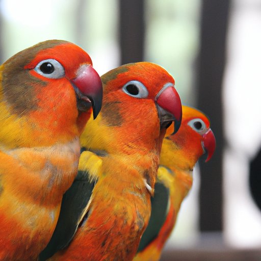 The Fascinating World of Parrot Mimicry: Exploring the Reasons Behind It