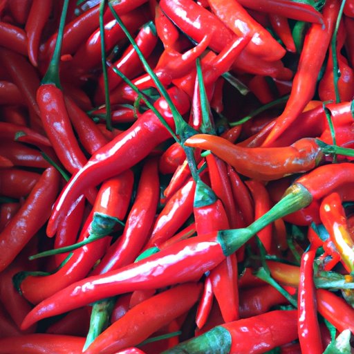 Why Do People Like Spicy Food? Exploring the Physical, Cultural, and Psychological Aspects of Spice