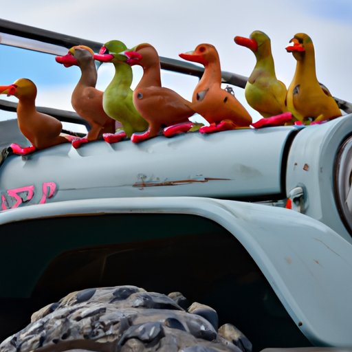 Why Do People Put Ducks on Jeeps? Exploring the Camaraderie, Symbolism, and Tradition