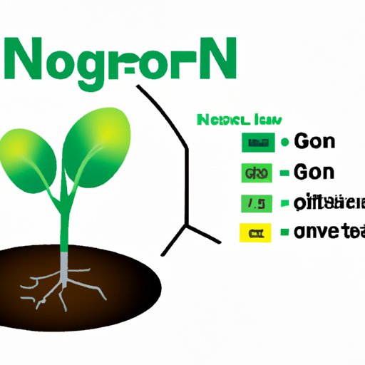 Why Do Plants Need Nitrogen: The Importance of Nitrogen Fertilization for Plant Growth