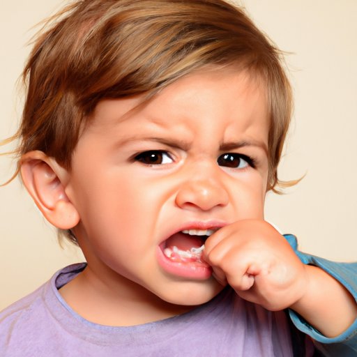 Understanding and Managing Toddler Biting Behavior: A Guide for Parents