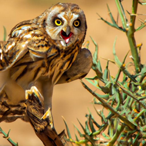 Why Do Owls Hoot? Exploring the Different Reasons and Interesting Facts About Their Hooting Behavior