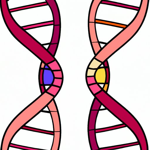Why Does DNA Replicate? Understanding the Miracle of Life