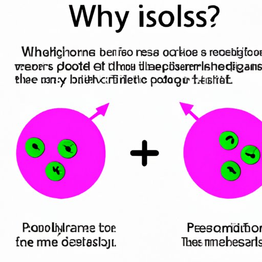 Understanding Mitosis: The Key to Cellular Reproduction and Growth