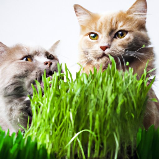 Why Does My Cat Eat Grass? Decoding the Mystery Behind This Behavior