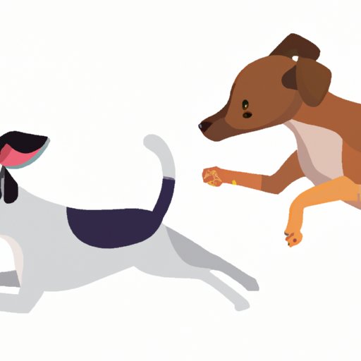 Why Does My Dog Chase His Tail? Understanding and Managing This Behavior