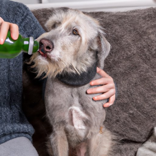 Why Does My Dog Cough After Drinking Water? Understanding Respiratory Problems in Dogs