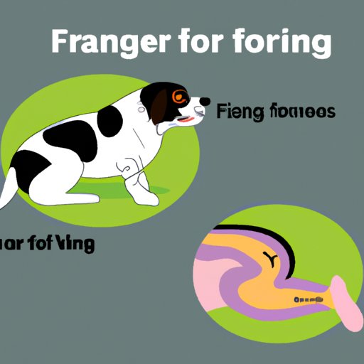 Why Does My Dog Keep Farting? Understanding the Causes and Remedies