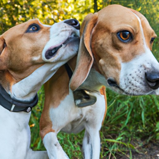 Why Does My Dog Lean on Me: Understanding the Science, Psychology, and Emotion Behind the Behavior