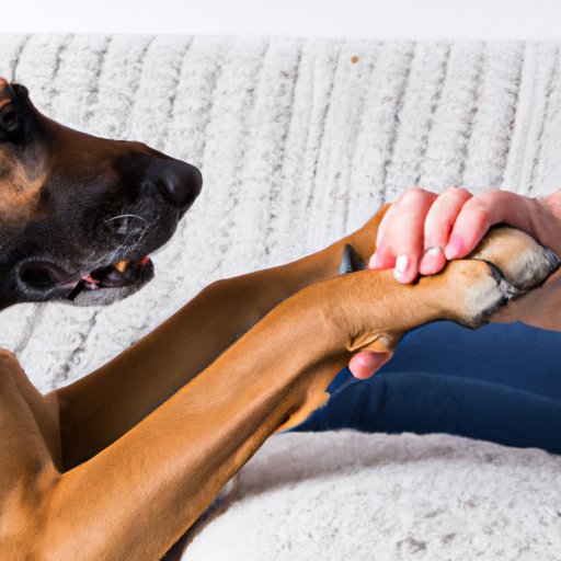 Why Does My Dog Paw at Me? Understanding Your Furry Friend’s Behavior