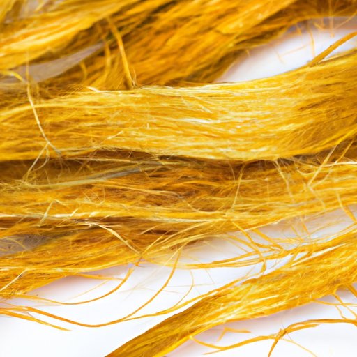 The Science Behind Straw-Like Hair: Causes and Solutions