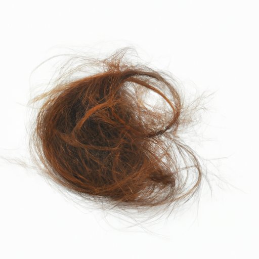 Why Does My Hair Shed So Much? Understanding the Causes and Solutions
