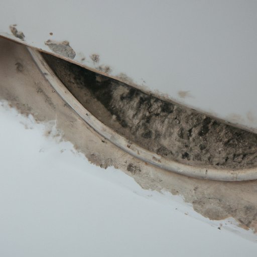 Why Does My House Smell Musty? Understanding the Causes and Solutions