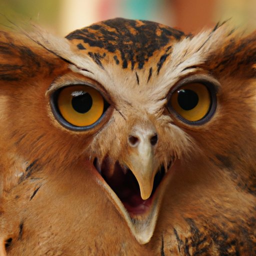 Why Do Owls Hoot? Deciphering the Sounds and Secrets of These Nocturnal Birds