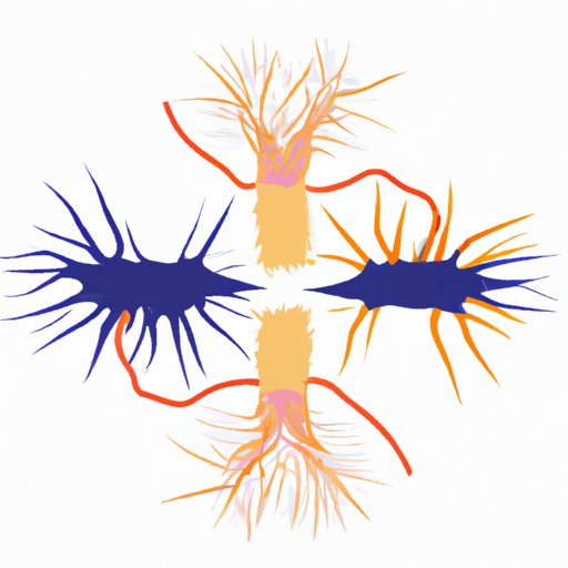 The Science Behind Hydrophobia: Why Does Rabies Cause Fear of Water?