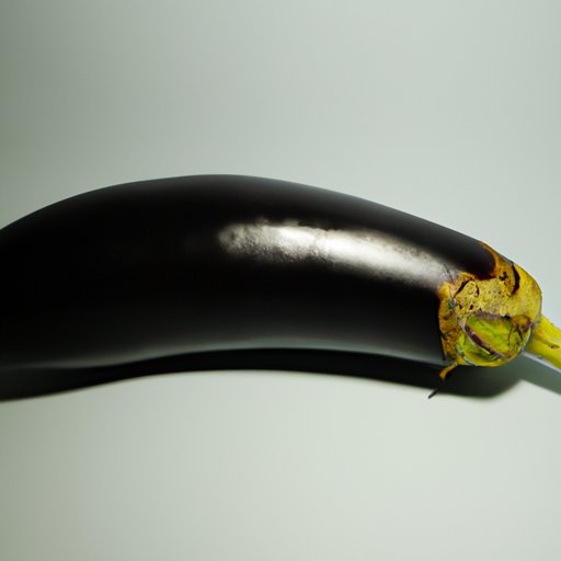 The Eggplant Enigma: Understanding the Etymology and Cultural Significance of Eggplant’s Name