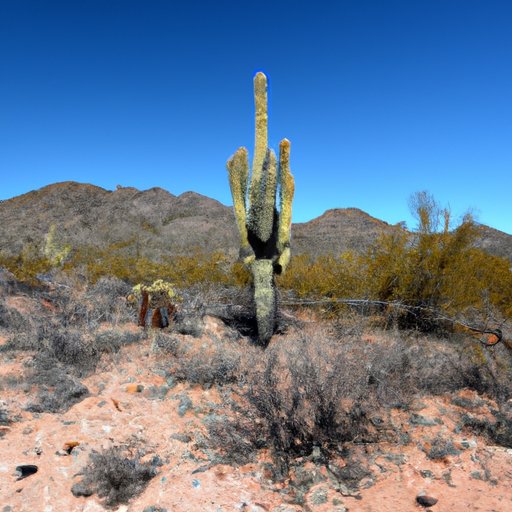 Why is Arizona So Hot? Exploring Meteorological, Health, and Economic Impacts of the State’s Extreme Heat