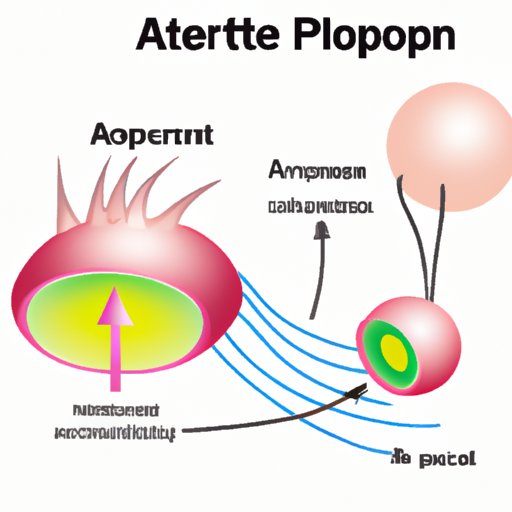 The Importance of ATP: Understanding the Powerhouse Molecule of Life