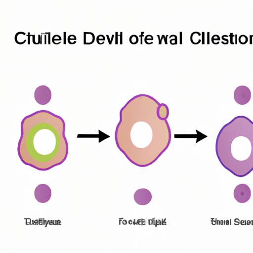 The Importance of Cell Division in Daily Life
