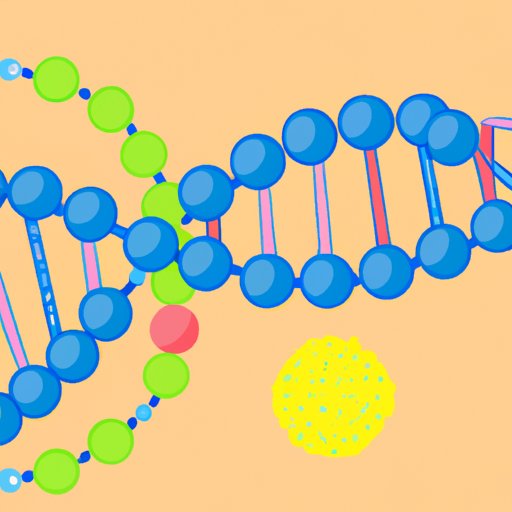 Unpacking the Science of DNA Replication: Why Semi-Conservative Replication Matters