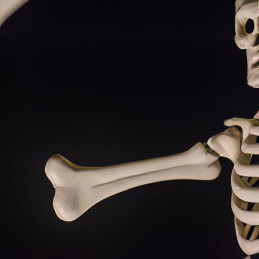 Why is it Called a Funny Bone: Exploring the Origin and Science Behind the Name