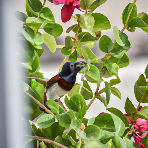 Why is it called Birds and Bees? The Evolution of Sex Education Phrase