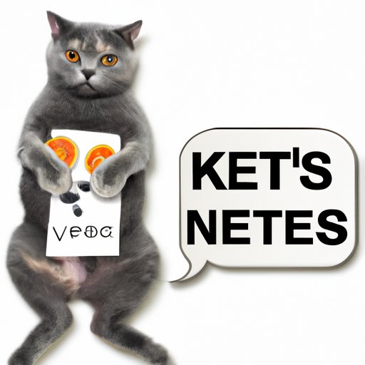 Understanding Why Your Cat is Losing Weight: Common Causes and Solutions