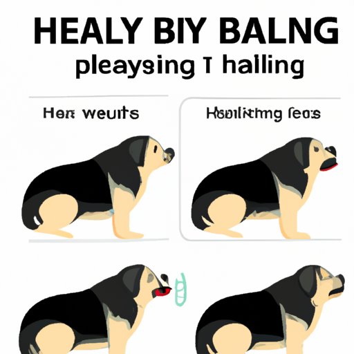 Why Is My Dog Breathing So Hard? Understanding the Causes, Symptoms, and Management of Heavy Breathing in Dogs