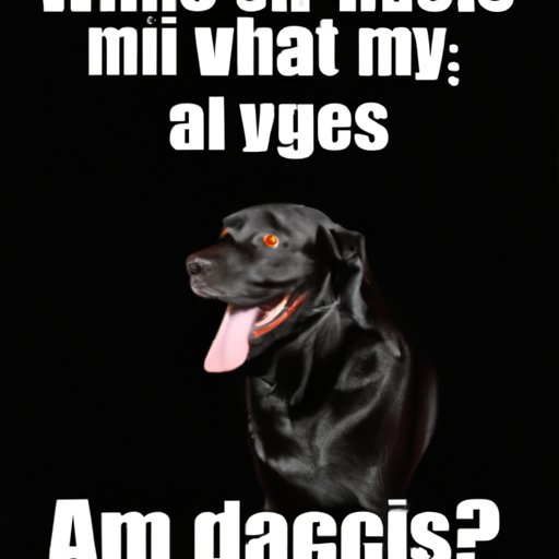 Why is My Dog’s Vag Dark? Exploring Vaginal Health in Canines