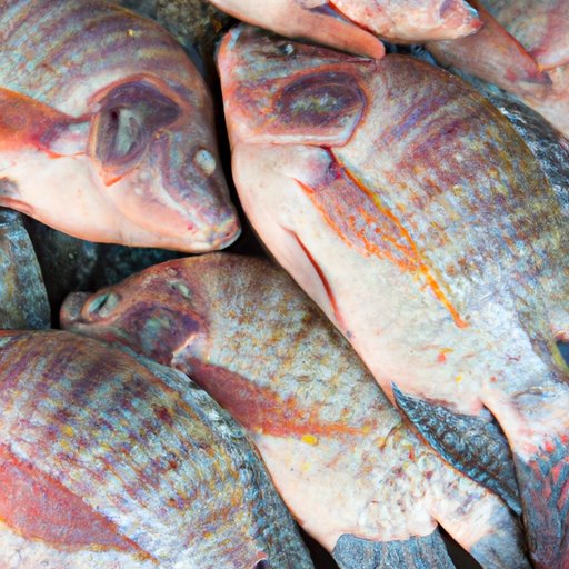 Why is Tilapia Bad for You? The Dirty Truth About This Fish