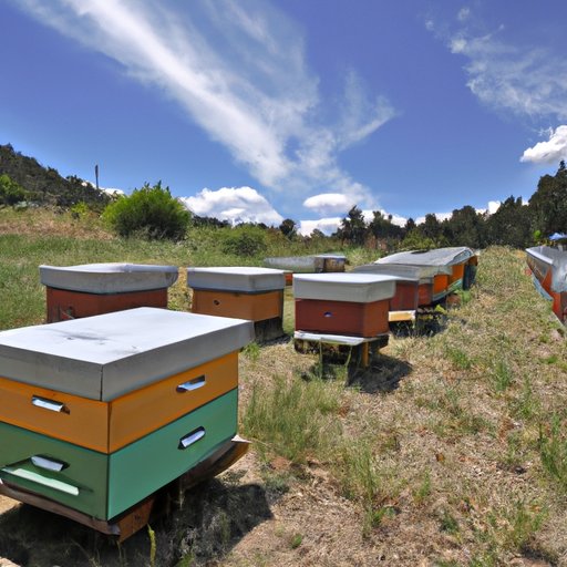 The Beehive State: How Utah Earned its Iconic Nickname and the Role of Bees in its Culture and Agriculture
